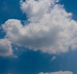 The big fluffy white cloud in the bright blue sky.
