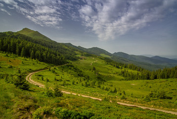 Fototapeta na wymiar The road in the Carpathian mountains. Ukraine.