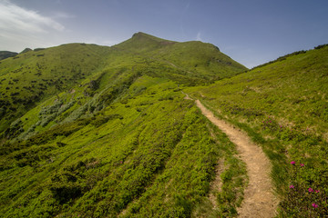 The road in the Carpathian mountains.  Ukraine.