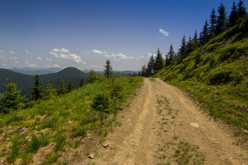 Obraz premium The road in the Carpathian mountains. Ukraine.