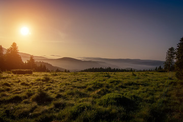 A sunny morning in the Carpathian mountains. Ukraine