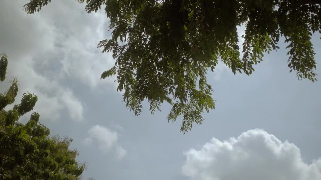 Cloud. White and Green.