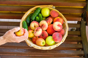 A man takes an apple from a wicker from a vine basket standing on wooden boards filled with fruits from a fresh harvest. Peaches, apples, cucumbers.