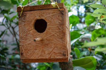Simple Wooden Bird House with green forrest background