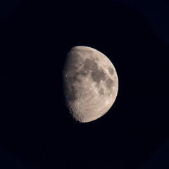 Obraz premium Mond auf Amrum