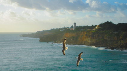 Two eagles flying over the sea