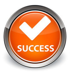 Success (validate icon) optimum orange round button