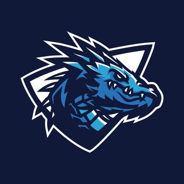 Dragon Esport Gaming Mascot Logo Template