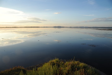 Orbetello's lagoon, Tuscany, Italy