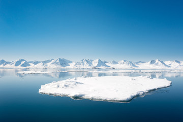 Fototapeta na wymiar Arctic seascape