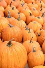 Halloweenkürbisse als Hintergrund, Halloween und Kürbis