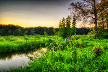 Krajobraz letni nad dziką rzeką
