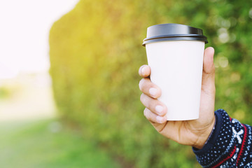 young hand holding paper cup of take away drinking coffee on natural morning sunlight. space Place for your text or logo.	
