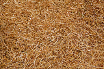 Canicule
paille
sècheresse
herbe
pelouse
foin
