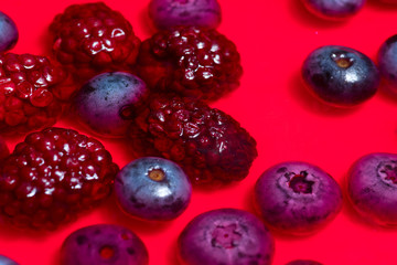 Cheesecake with wild berries