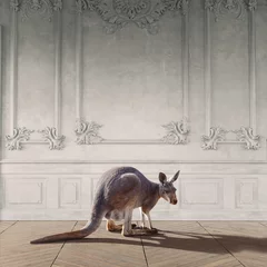 Papier Peint photo autocollant Kangourou kangourou dans la chambre