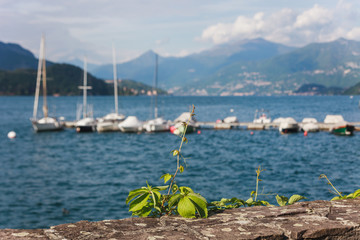 Blick auf Comer See mit Booten im Hintergrund