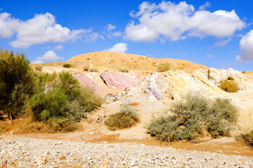 Scenic view of a canyon in Negev Desert . Israel
