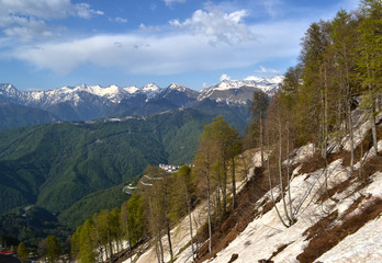 Unparalleled landscape. Trees on the slope of the mountain in Krasnaya Polyana on the background of a beautiful mountain range and blue sky with white clouds in the spring. Sochi. Rosa Khutor. Adler..