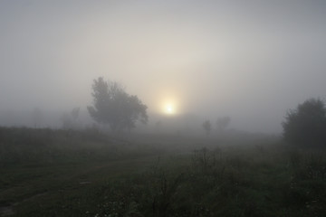 A dawn early in the morning in the steppe with fog.