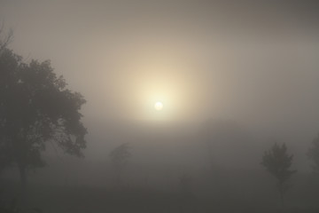 A dawn early in the morning in the steppe with fog.