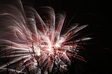 Firework