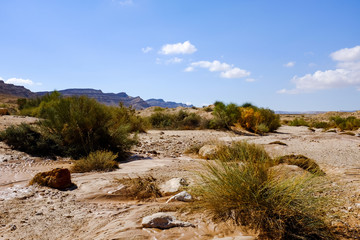 Naklejka premium Scenic view of a canyon in Negev Desert . Israel
