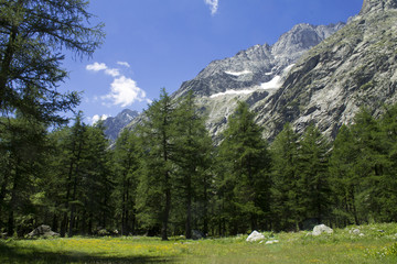 Val Ferret italian alps Aosta Valley