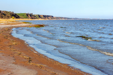 Sandy seashore of Azov sea, Russia