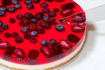 Cheesecake with wild berries