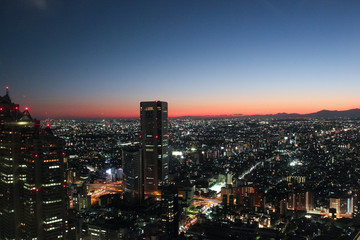 Fototapeta na wymiar TOKYO, JAPAN - Tokyo skyline at dusk
