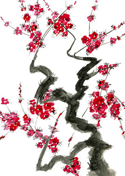 A branch of a blossoming tree. Pink and red stylized flowers of plum mei, wild apricots and sakura . Watercolor and ink illustration in style sumi-e, u-sin. Oriental traditional painting.  