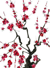 A branch of a blossoming tree. Pink and red stylized flowers of plum mei, wild apricots and sakura . Watercolor and ink illustration in style sumi-e, u-sin. Oriental traditional painting.  