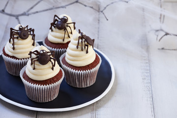Festive Halloween cupcakes with chocolate spiders in black plate on white wooden planks in moonlight, spider web background
