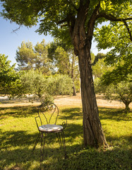 Tree with garden chair at St Remy de Provence. Buches du Rhone, Provence, France