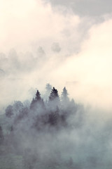 Foggy highlands of the Carpathians