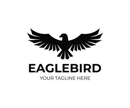 Eagle coat logo design. Falcon bird vector design. Flying hawk logotype
