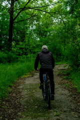Naklejka premium nature, Botanical garden, man from behind, cyclist