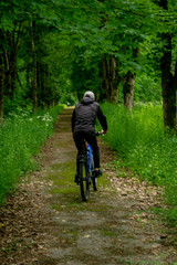 Naklejka premium nature, Botanical garden, man from behind, cyclist