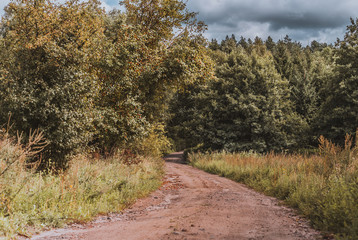 meadow, forest, forest road, Warmian-Masurian Voivodesh, cerkiewnikip