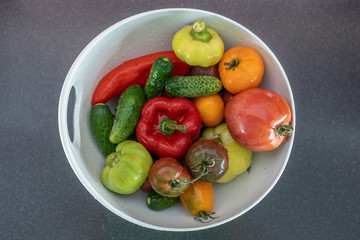 Bowl with wet various vegetables 