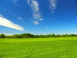 Fotobehang 夏の江戸川河川敷風景 © smtd3