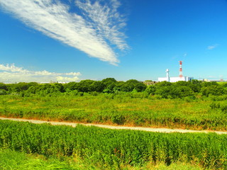 Fototapeta na wymiar 夏の江戸川河川敷風景