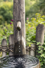 frisches Quellwasser tropft in einen Holzbehälter