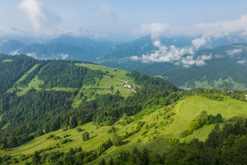 Fototapeta na wymiar Meadow in Alps mountains near Drazgose, Carniola, Slovenia