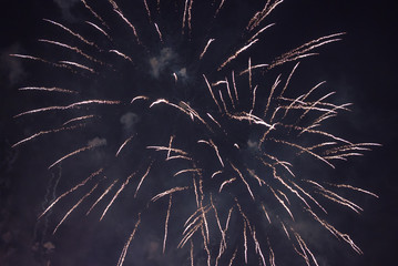 Fireworks at night