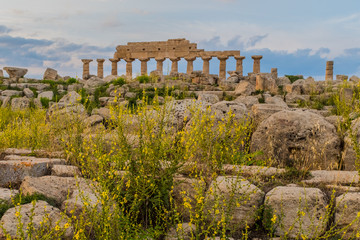 Selinunte, Sicily was an ancient Greek city on the south-western coast of Italy.