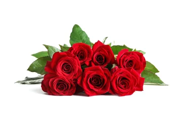 Poster de jardin Roses Belles fleurs roses rouges sur fond blanc