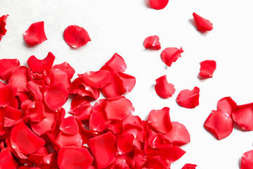 Red rose petals on light background, top view