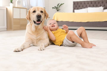 Adorable yellow labrador retriever and little boy at home